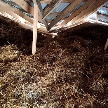 Аренда домов: Под бизнес можно построить Кафе или Чайхана и что угодно Продаётся — 5