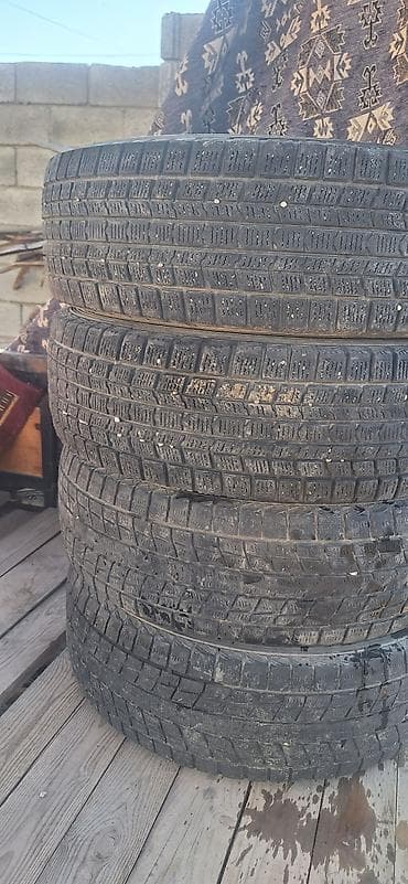 r16 4100: Шины 215 / 70 / R 16, Зима, Комплект, Внедорожные (АТ/МТ), Dunlop — 4