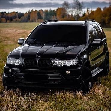 step vagon: BMW X5: 2001 г., 4.4 л, Автомат, Бензин, Кроссовер — 2