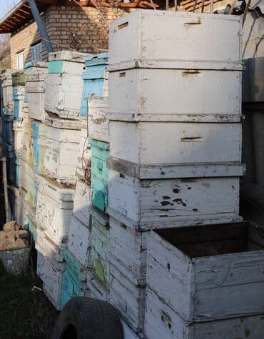 домик для кроликов: Пчелиные ульи из дерева, около 45 комплектов предназначенные для — 9