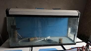 корм для рыб бишкек: Аквариум с крышкой и оборудованием - Прямоугольный стеклянный — 3