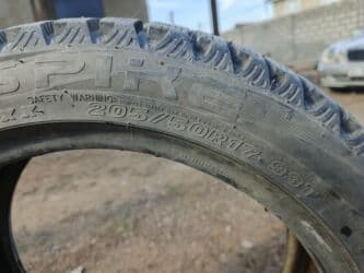 дордой шина: Шины — 1