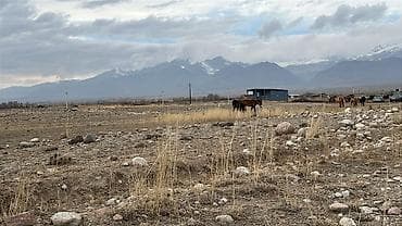 Жер участогун сатып алам: 10 соток, Курулуш, Кызыл китеп — 2