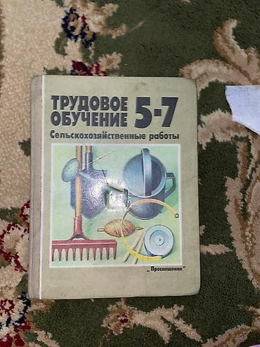 диски мультфильмы: Русский язык 5-го класса English 3-класса Родиноведение 3-класс — 5