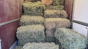 Корма для с/х животных: Сено в тюках 2 кос беде самовывоз - Формат: прямоугольные тюки — 4