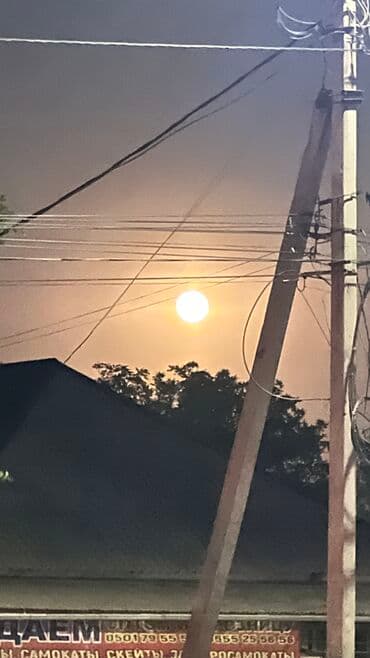 дома в новопокровке: 80 м² — 1