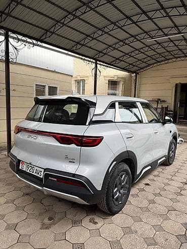 BYD: BYD : 2025 г., Автомат, Электромобиль, Кроссовер — 6