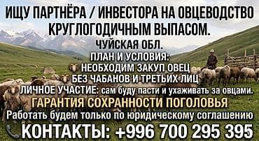 аталык корм: Сатам | Эчки (ургаачы) — 1