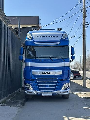 new beetle: Тягач, DAF, Без прицепа — 2