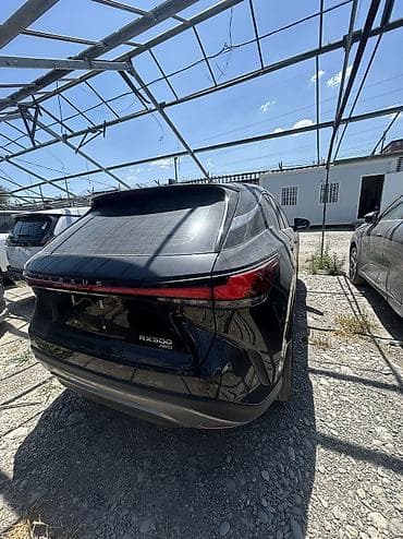 Lexus RX 2: 2025 г., 2 л, Автомат, Бензин, Кроссовер — 1