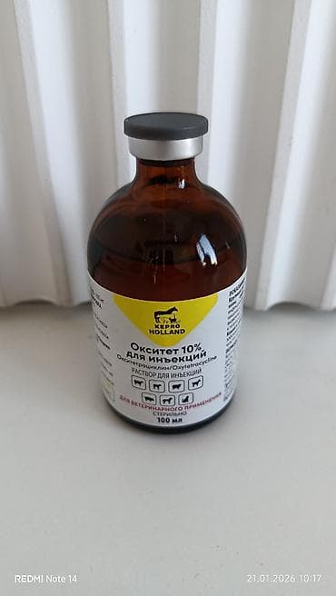 лошать: Набор ветеринарных препаратов KEPRO (Holland) Состав набора: 1) — 3