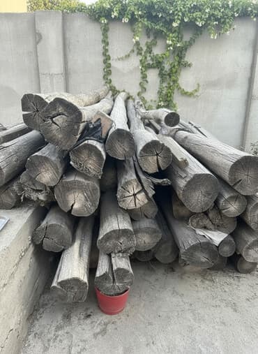 каракол зеркало: Терек сатылат г. Жалал-Абад мкр Спутник 
 1 шт 400c — 1