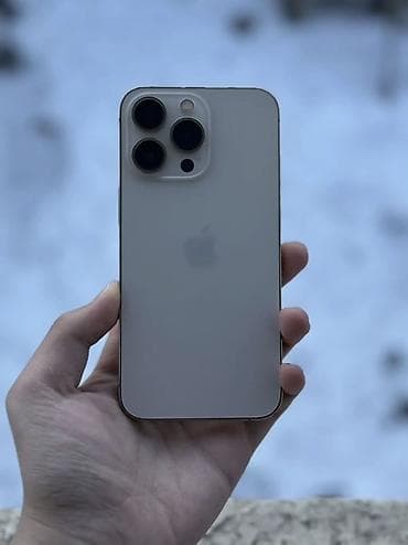 принт чек: IPhone 13 Pro, Б/у, 128 ГБ, Серебристый, 79 % — 4