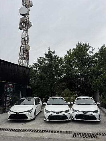 byd tang ev: Toyota Corolla: 2021 г., Автомат, Бензин, Седан — 1