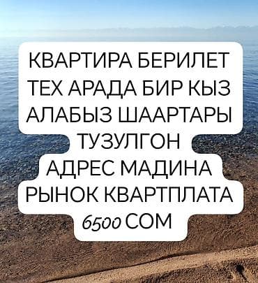 Сдаётся квартира. В ближайшее время требуется одна девушка-соседка — 1