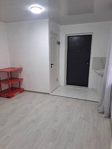 flat rent: Студия, С мебелью частично — 1