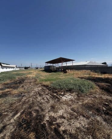 недорогие дома: Продаётся мал сарай 📍 адрес: сокулукский район, с. Чат-көл 🏢 мал — 11