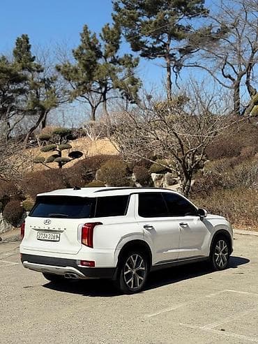 киа соренте: Hyundai Palisade: 2019 г., 2.2 л, Автомат, Дизель, Кроссовер — 4