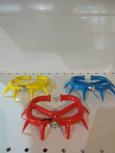 где можно купить молодых кур несушек: Носовое кольцо с шипами — 1