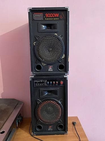 phone 11 pro: Пара напольных акустических систем SH (Professional Speakers) с — 2