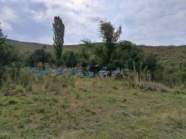 дом ак бешим: Дом, 70 м², 3 комнаты, Собственник, Старый ремонт — 23