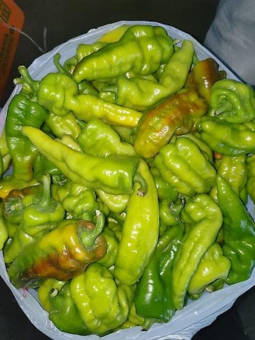 Продукты питания: Помидоры Красные, Оптом — 2