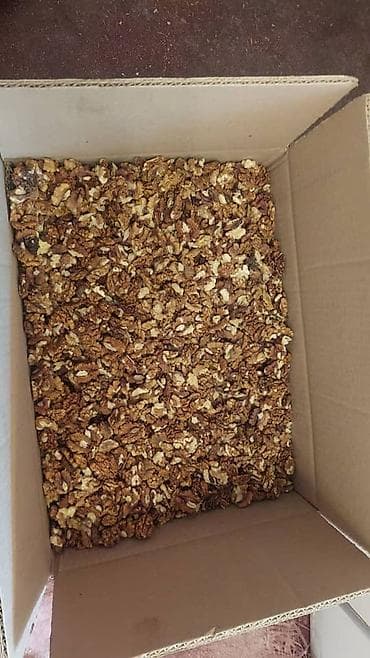 мандарин ящик: Грецкий орех очищенные сорт новот чёрный адрес ошская область — 8