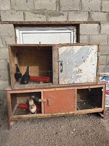 Продаю Клетки для птиц