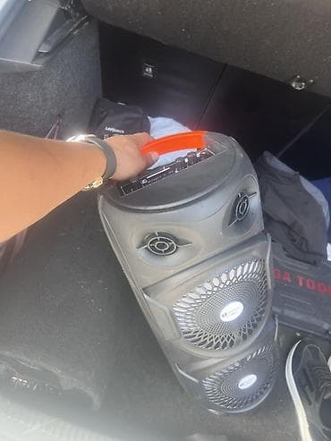 микрофон ош: Портативная акустическая колонка ELENBERG CH-8811 - Два фронтальных — 4