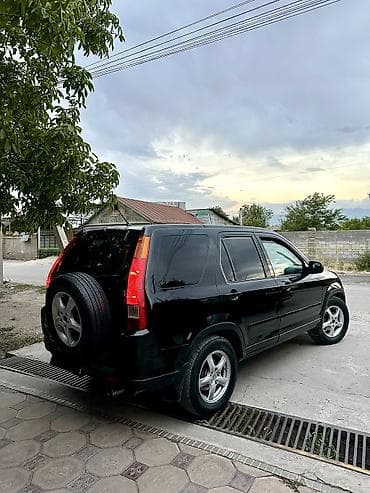 я ищу срв: Honda CR-V: 2003 г., 2.4 л, Автомат, Бензин, Кроссовер — 3
