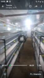 оборудование для кур несушек: Многоярусные клеточные батареи для содержания птицы — 2