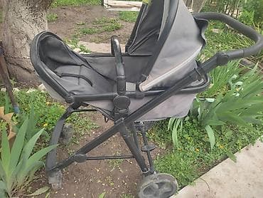 Птицы: На выбор. Если интересно цены уточняем здесь или звоним! — 10