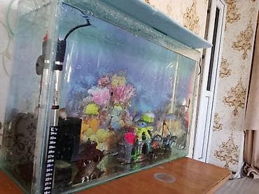 Аквариумный комплект с декором и оборудованием - Прямоугольный