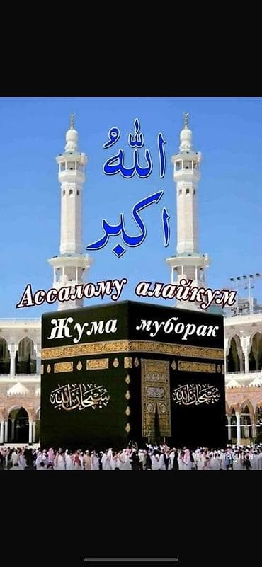 gala group: 1 комната — 1