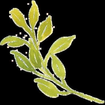 домашнее задание: Курсы | — 1