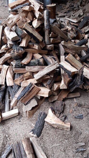 ножовка по дереву: Продаю дрова сихие карагач мешками и росыпью — 3