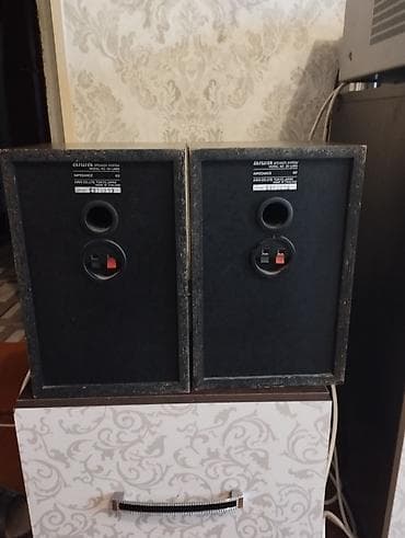 xbox one to: Акустическая система Aiwa SX-LM50 (пара) - Тип: полочные пассивные — 2