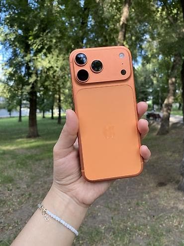 IPhone 17 Pro Max, 256 ГБ, Оранжевый, Чехол, 100 %