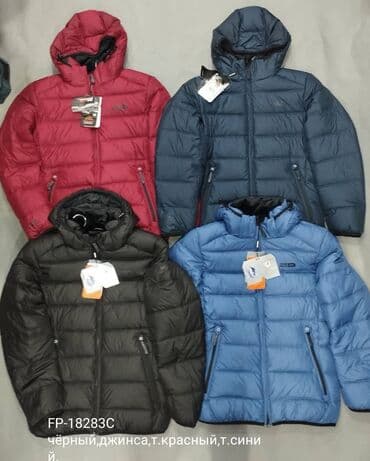 Куртки: Куртки от фирмы Frompoles,зима Евро Качество размеры 46 -56, Дордой — 1