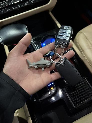 Kia Carnival: 2019 г. — 9