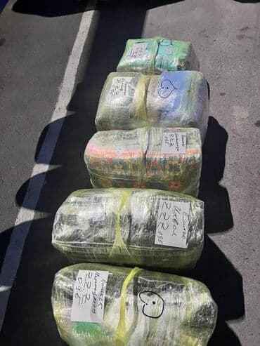 шоу гигантских мыльных пузырей: Предлагаем туры в Хоргос с комфортабельным VIP автобусом, оснащенным — 7