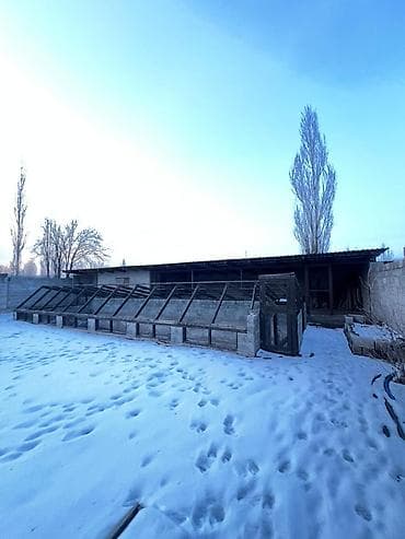 баа: ЧЕКЧЕЙГЕН ЖЕР ҮЙ САТЫЛАТ!!! 1-линияда жайгашкан ✅ Жери: 20 соток ✅ Үй — 4