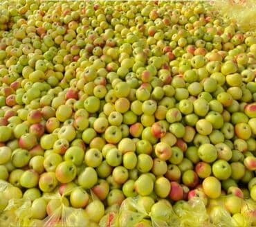 хлебные полки для магазина: Яблоки Оптом — 1