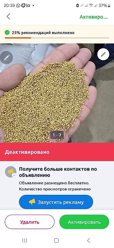 косим кукурузу: Семена люцерны!!! 
Сорт: Багира 
Есть гарантии на семена — 2