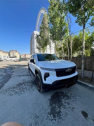 электрическая авто: Легкий грузовик, Дубль, До 1 т, Новый — 3