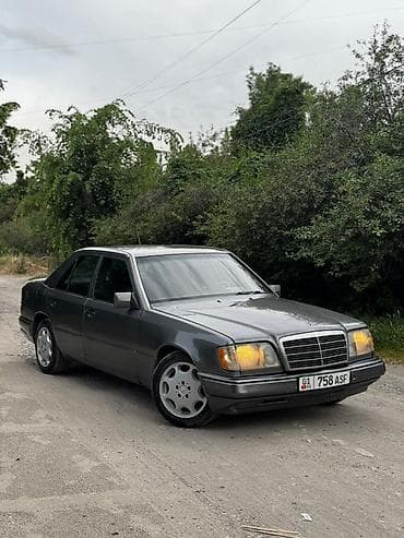 Mercedes-Benz E-Class: 1994 г., 2 л, Механика, Бензин, Седан