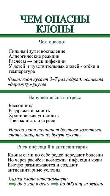 Клининговые услуги: Профессиональная дезинсекция от тараканов — DEZEXPERT Что предлагаем — 10