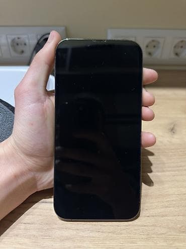 iphone 6c: IPhone 13 Pro Max, 256 ГБ, 100 % — 3