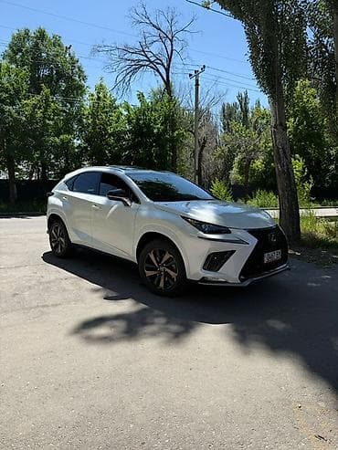 eclipse cross: Lexus NX: 2020 г., 2 л, Автомат, Бензин, Кроссовер — 4