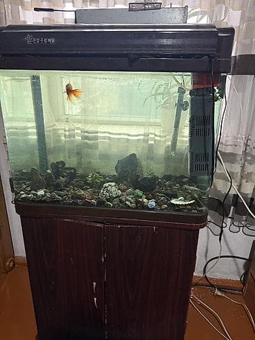 малек сазан: Аквариум на 90 литров комплект для дома/офиса - Прямоугольный — 8